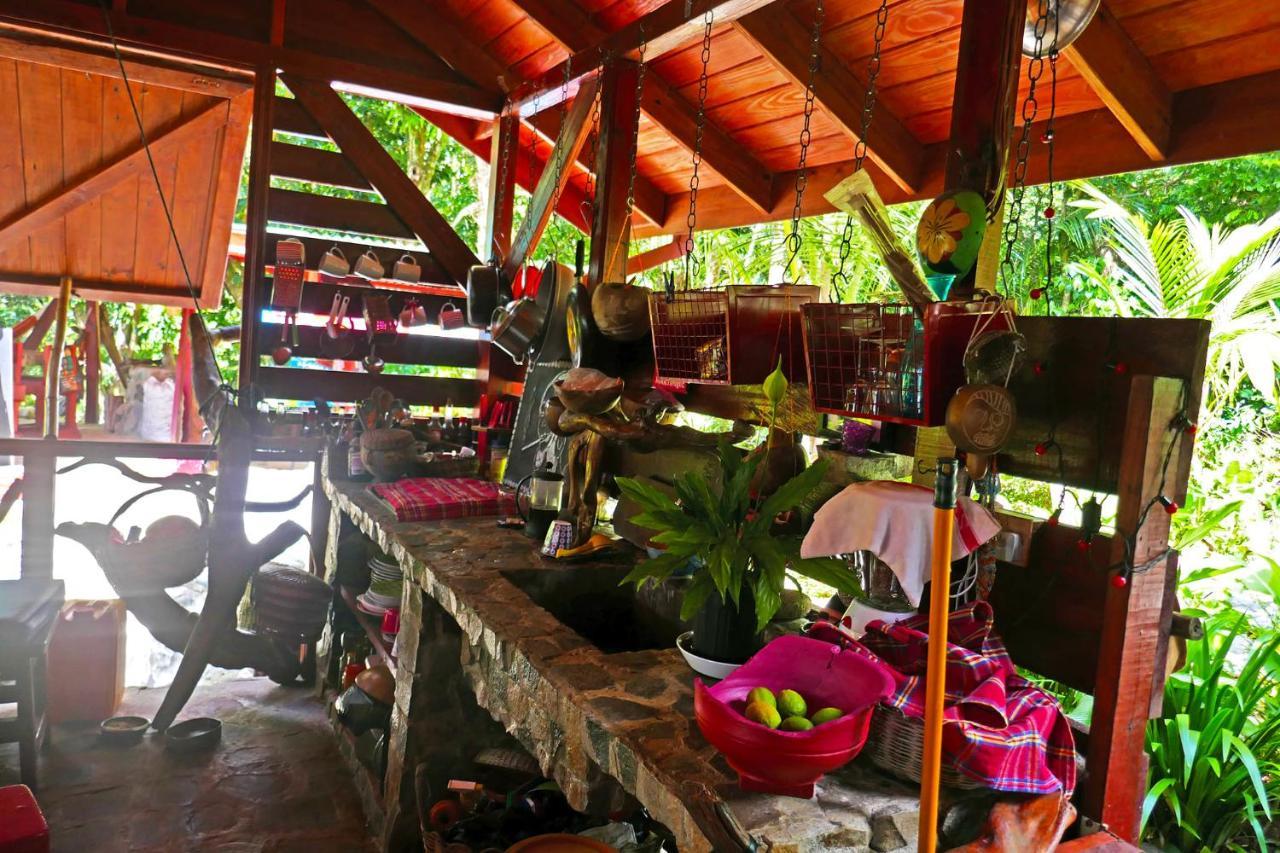 Вилла Citrus Creek Plantation La Plaine Экстерьер фото