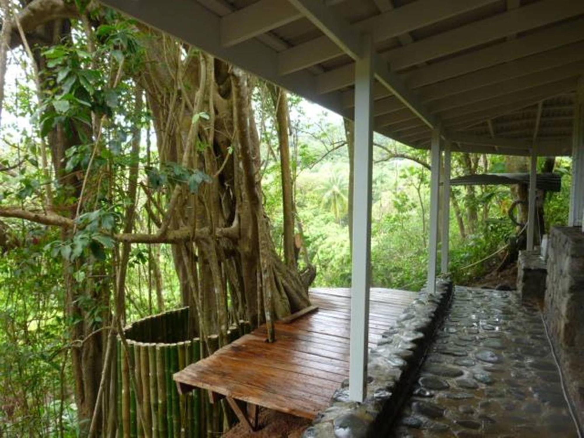 Вилла Citrus Creek Plantation La Plaine Экстерьер фото