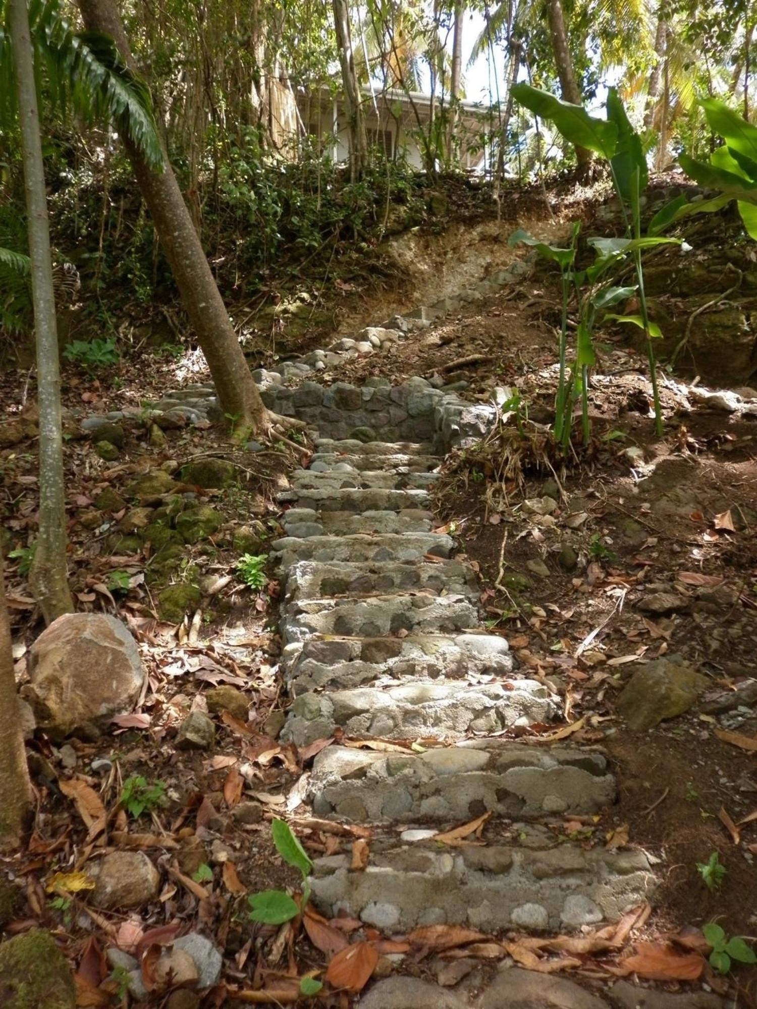 Вилла Citrus Creek Plantation La Plaine Экстерьер фото
