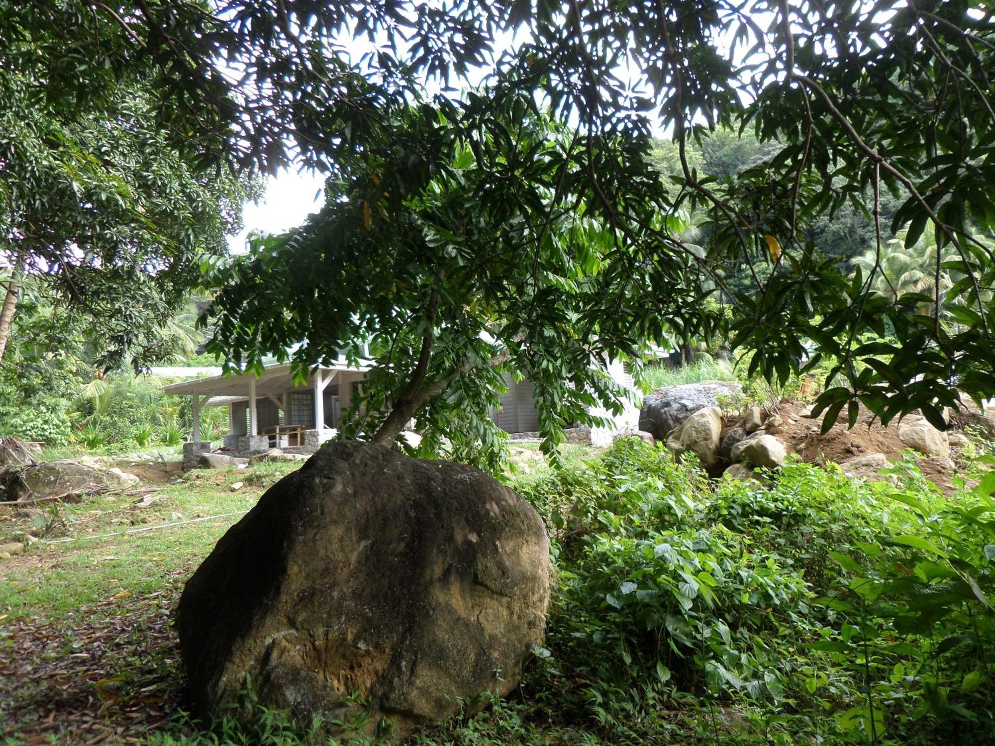 Вилла Citrus Creek Plantation La Plaine Номер фото