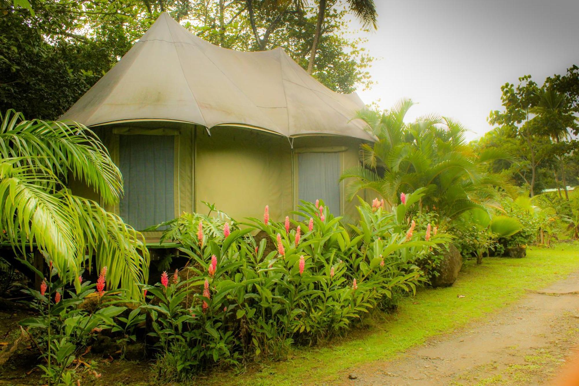Вилла Citrus Creek Plantation La Plaine Номер фото