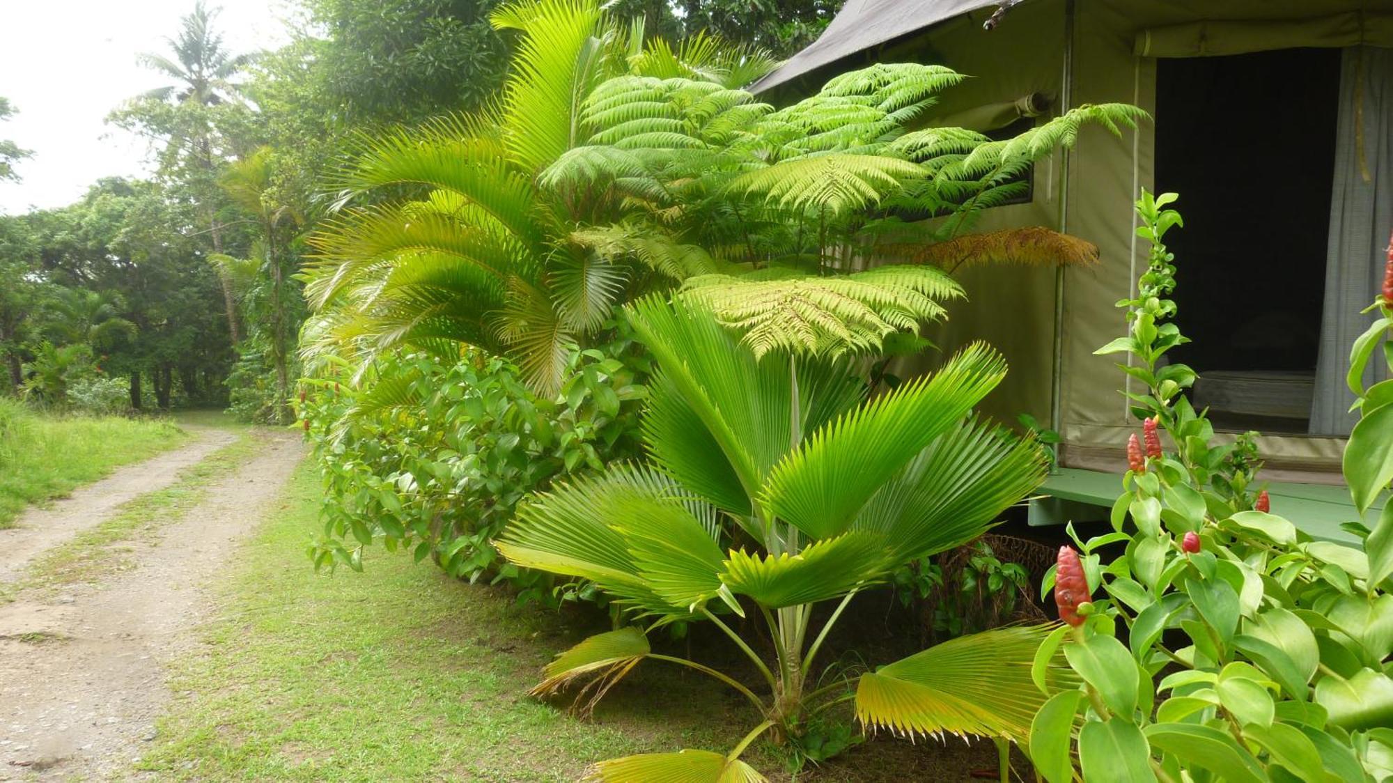 Вилла Citrus Creek Plantation La Plaine Номер фото