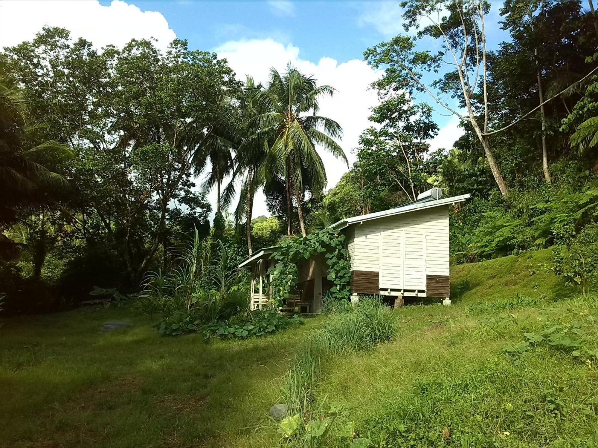 Вилла Citrus Creek Plantation La Plaine Номер фото