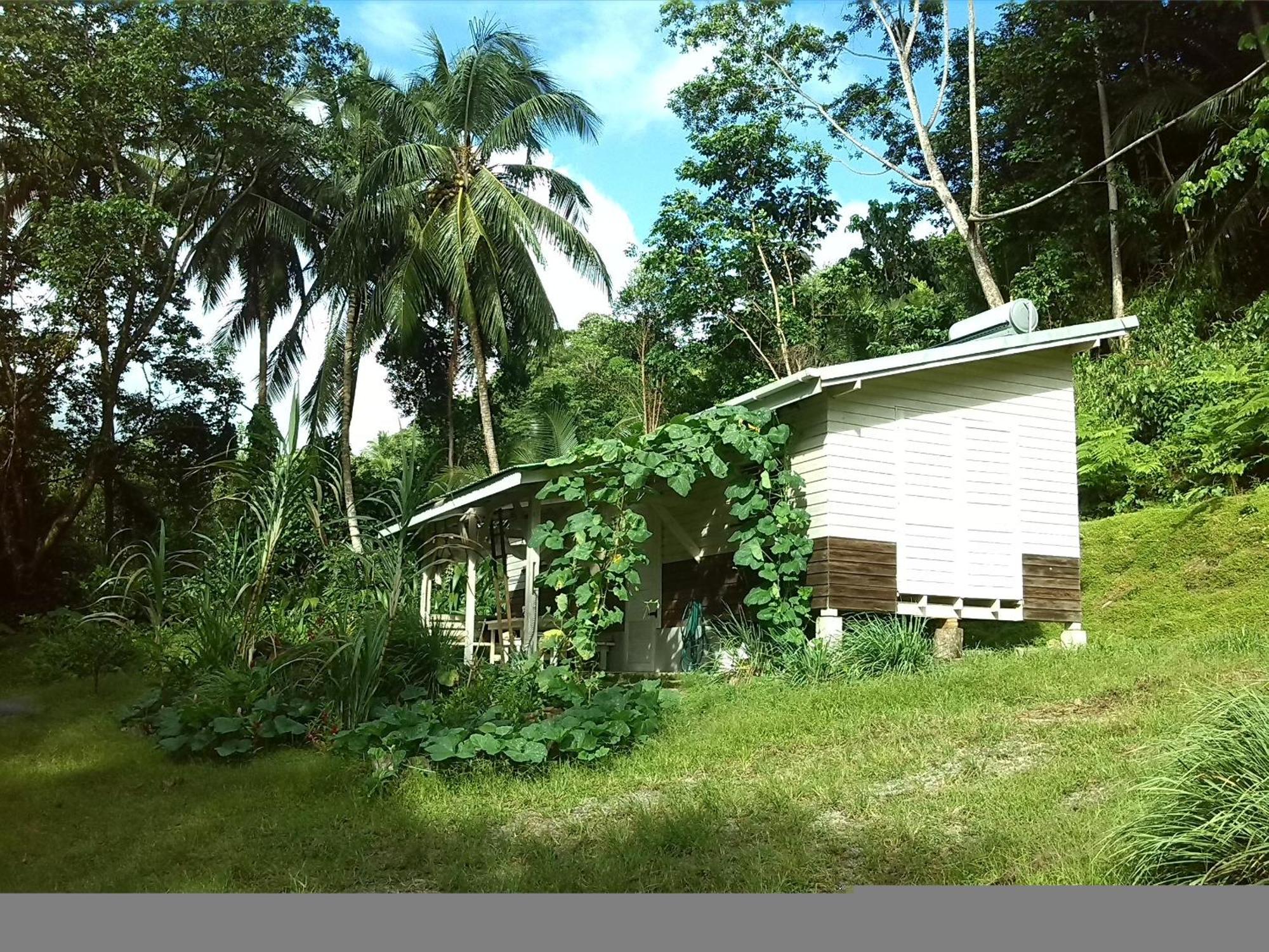 Вилла Citrus Creek Plantation La Plaine Номер фото
