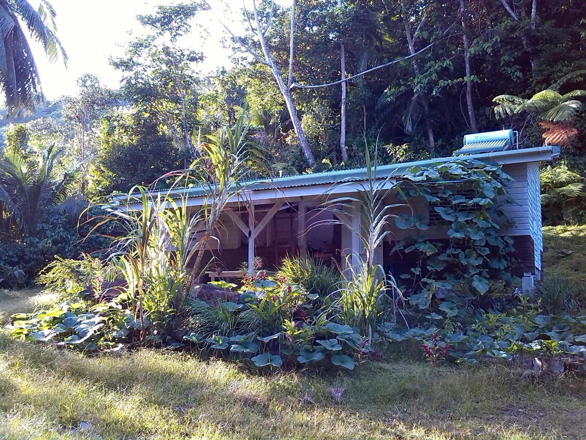 Вилла Citrus Creek Plantation La Plaine Номер фото