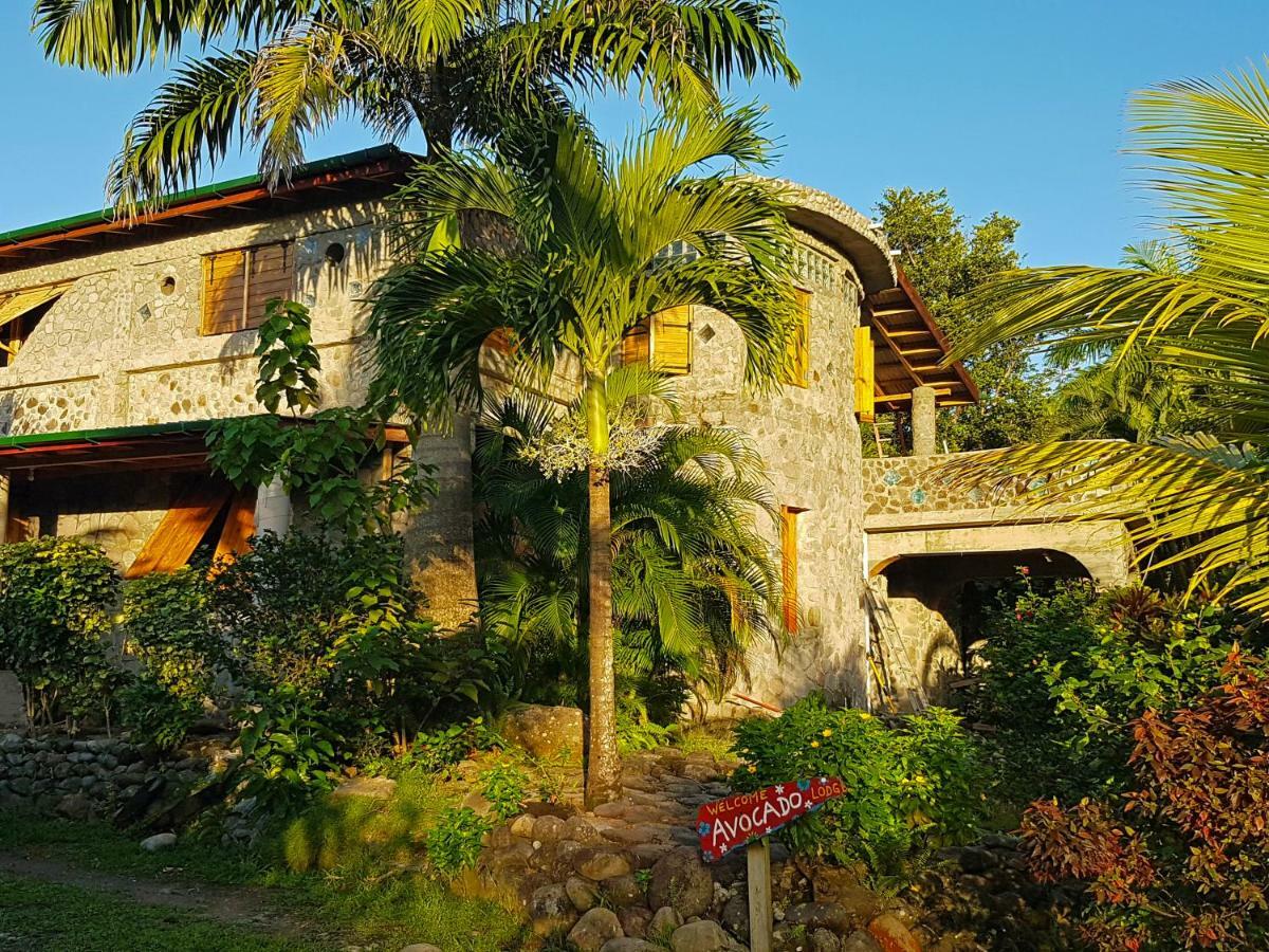 Вилла Citrus Creek Plantation La Plaine Экстерьер фото